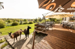 Hotel Rozkos